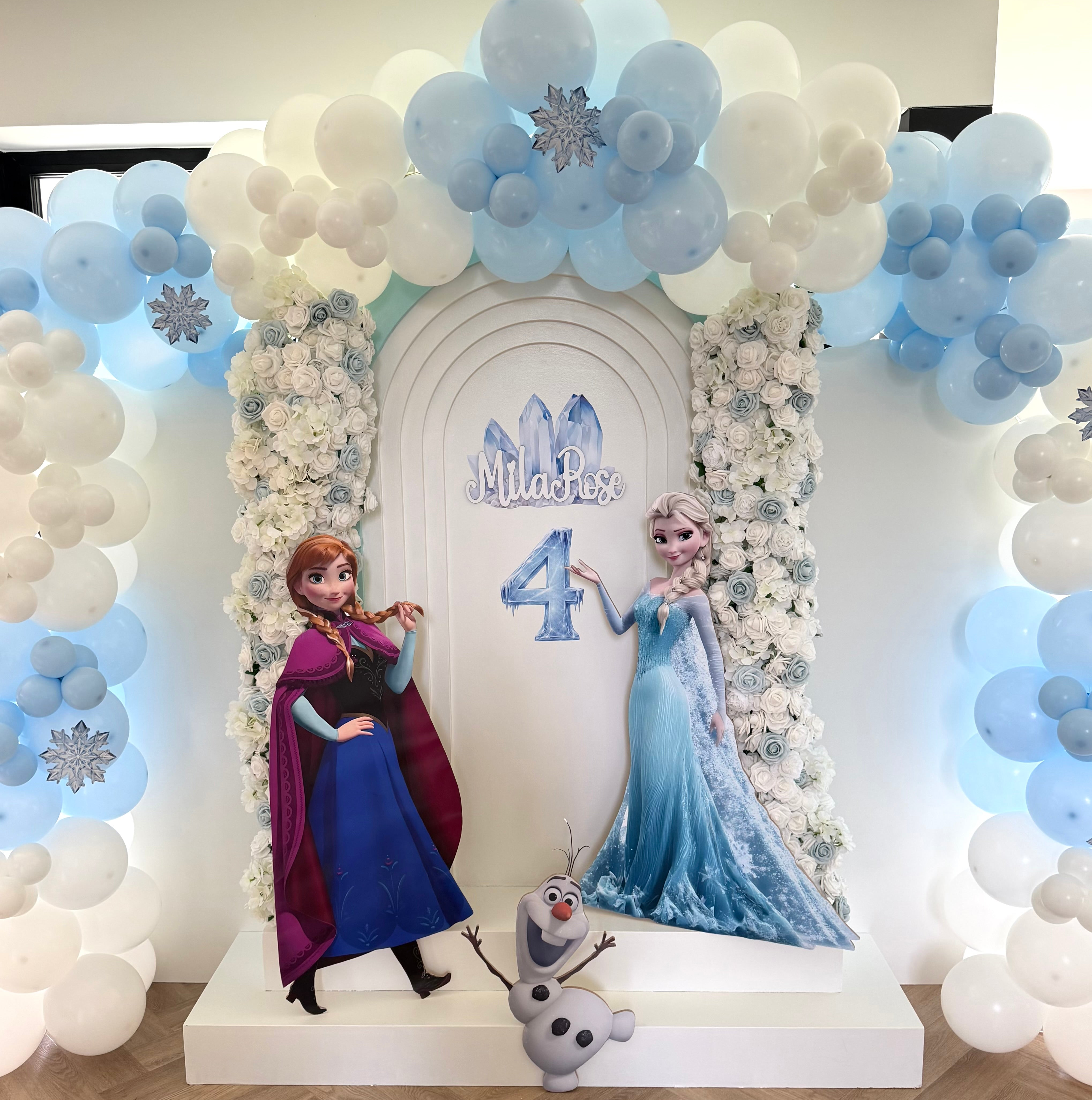 Frozen backdrop