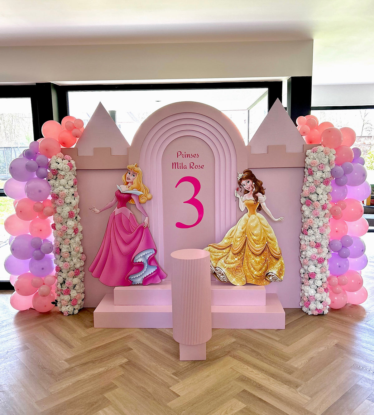 Prinsessen Thema Backdrop