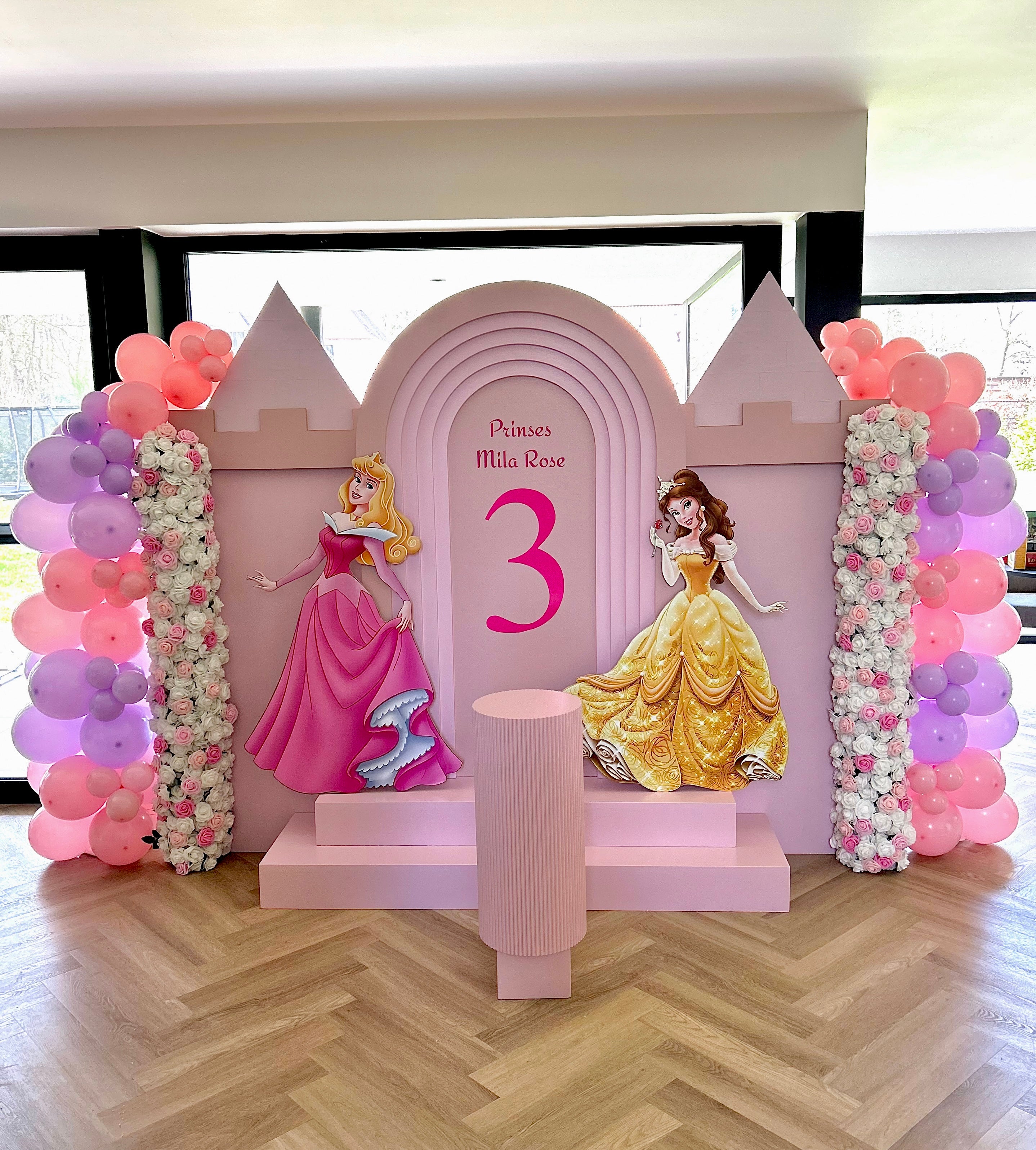 Prinsessen Thema Backdrop