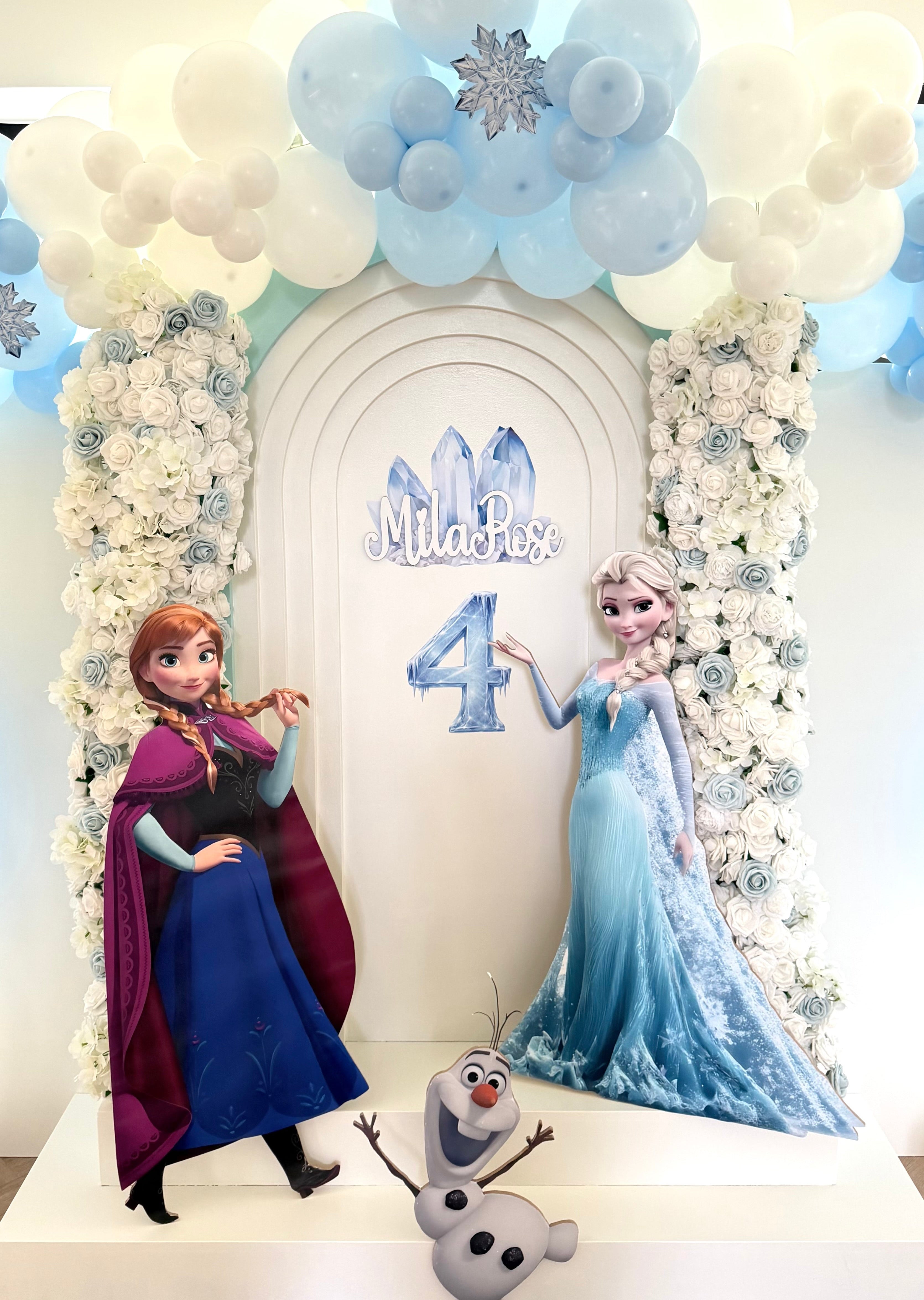 Frozen backdrop