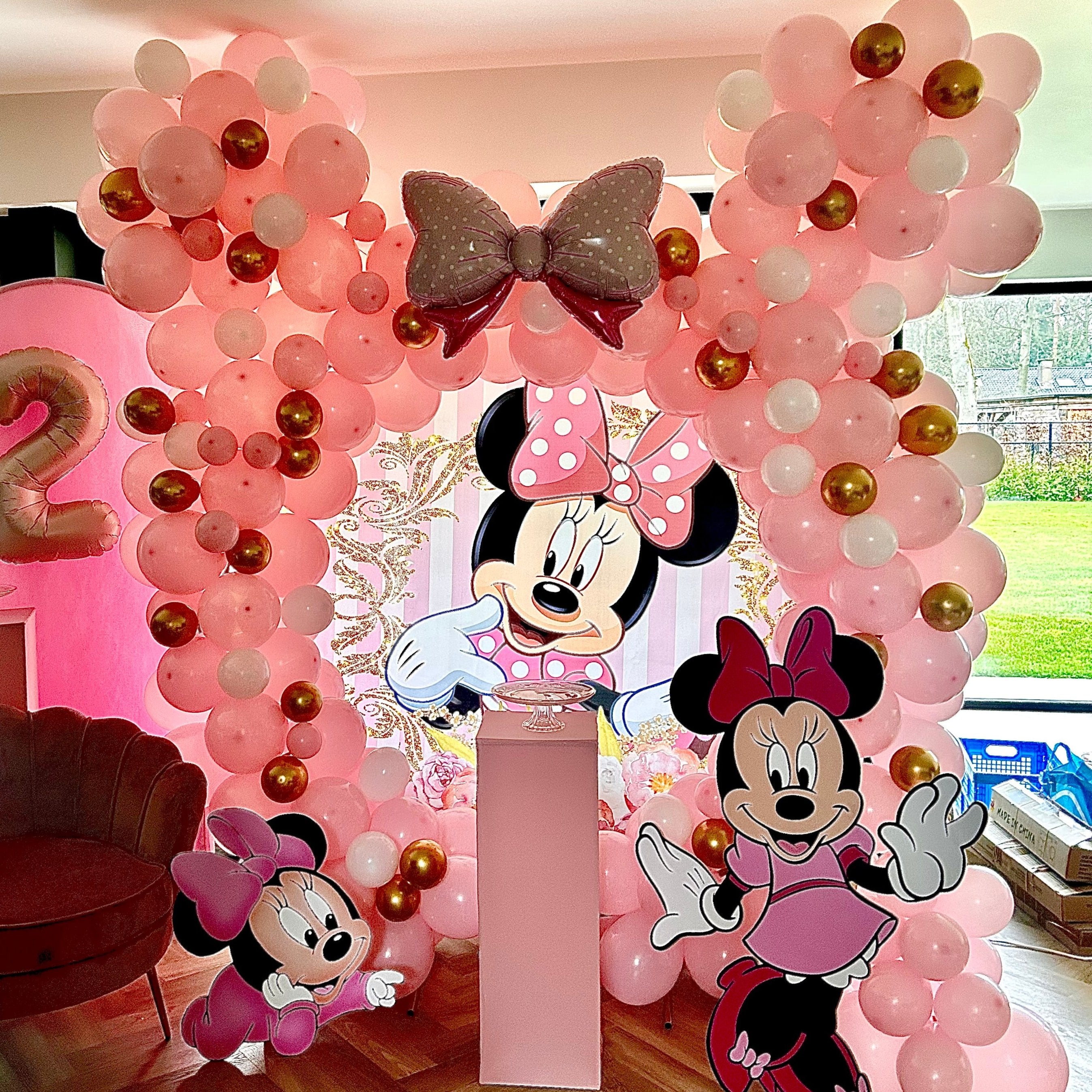 Mini Mouse Backdrop