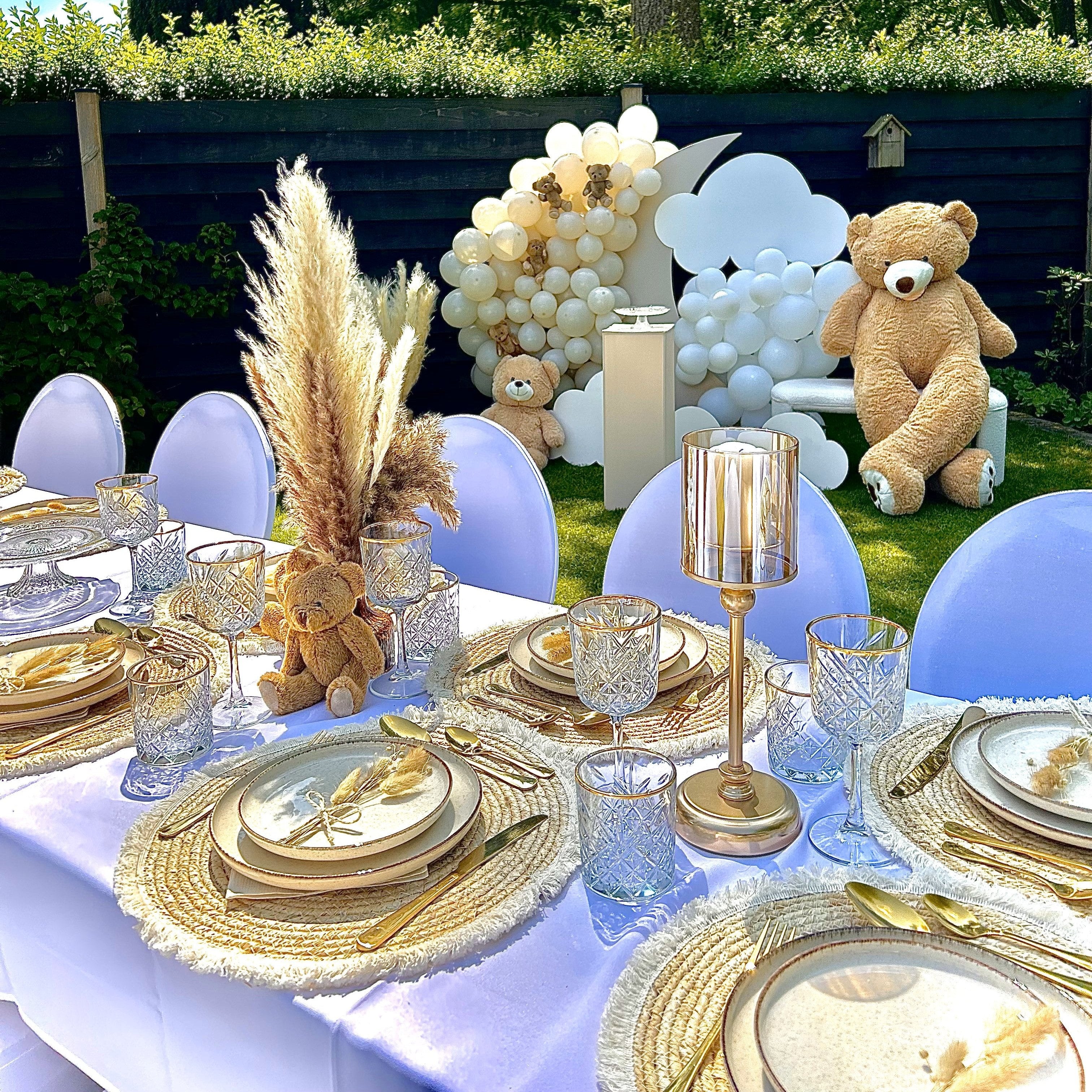 Teddy tafeldecoratie 25 personen + Teddy-moon Backdrop