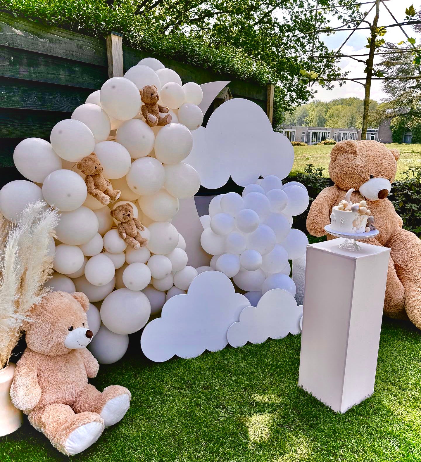 Teddy tafeldecoratie 25 personen + Teddy-moon Backdrop